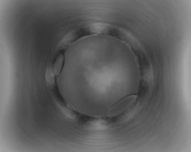 X0000115320696200911091157