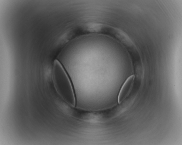 X0000115320697200911091157
