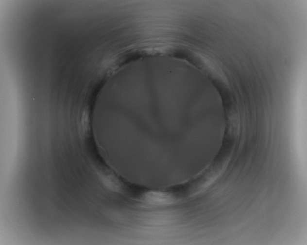 X0000115320699200911091157