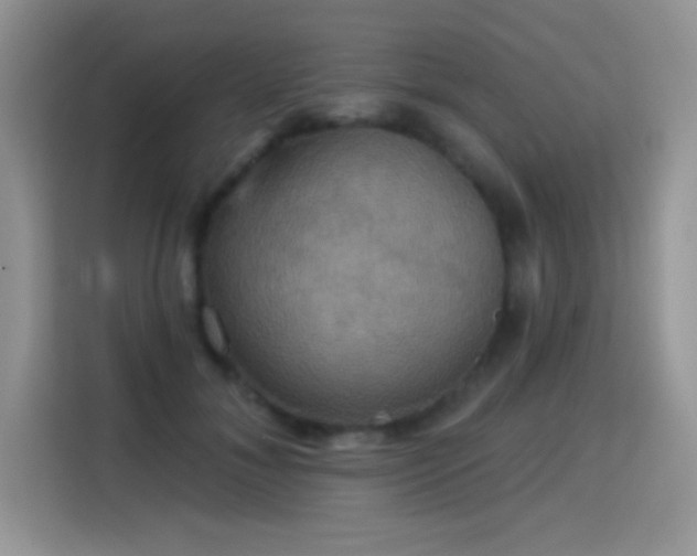 X0000115320700200911091157