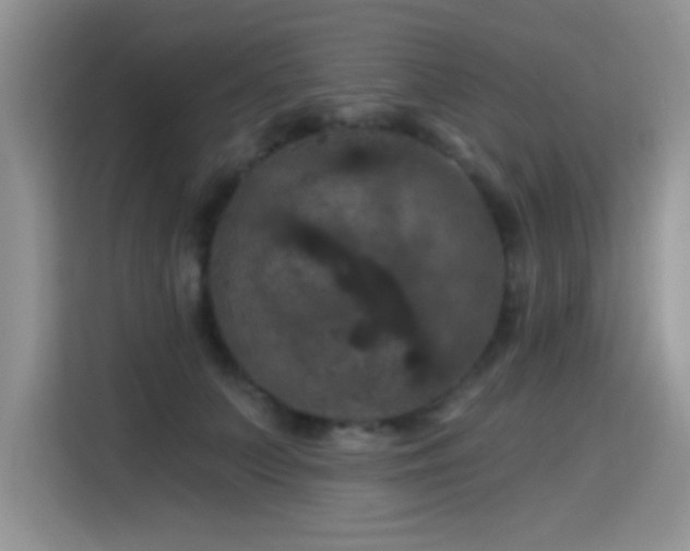 X0000115320703200911091157