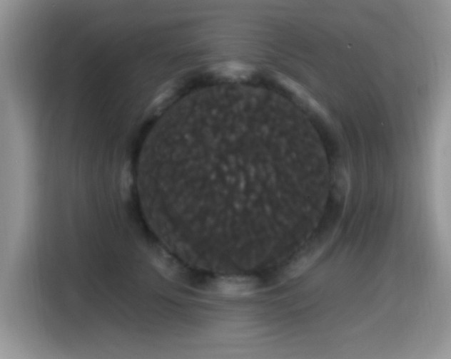 X0000115320707200911091157