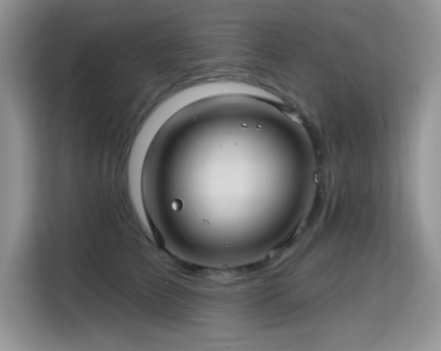 X0000115320709200911091157