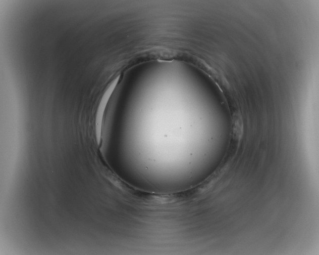 X0000115320713200911091157