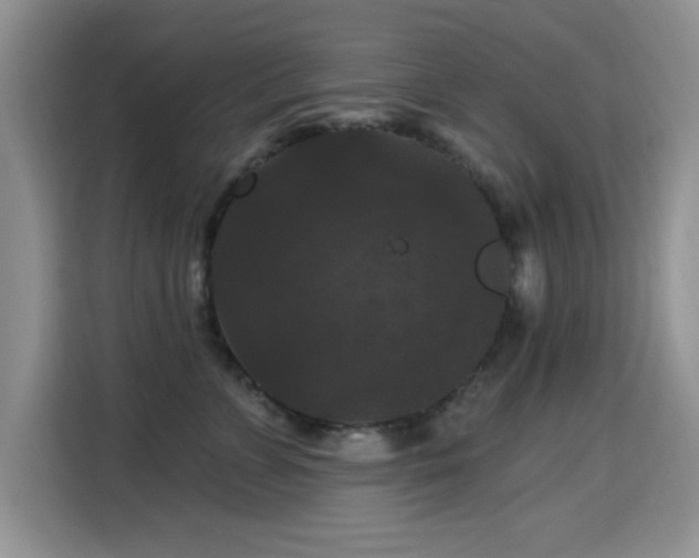 X0000115320715200911091157