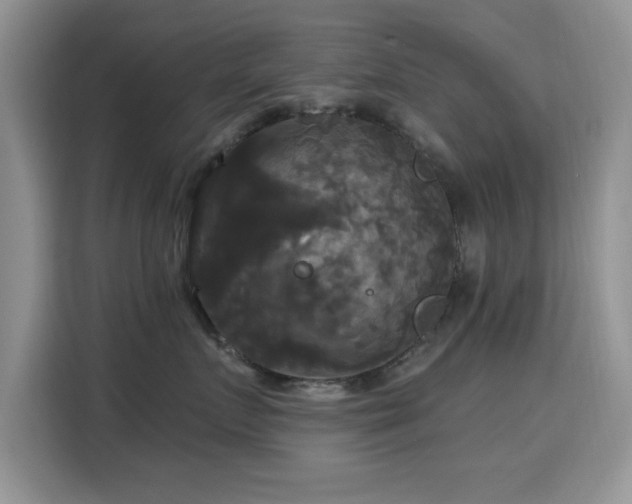 X0000115320719200911091157