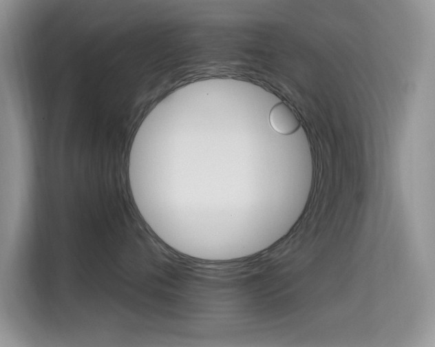 X0000115320720200911091157