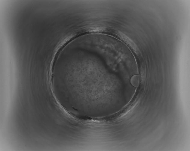 X0000115320721200911091156