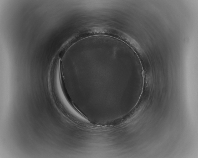 X0000115320722200911091156