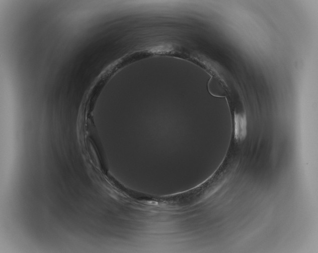X0000115320723200911091156