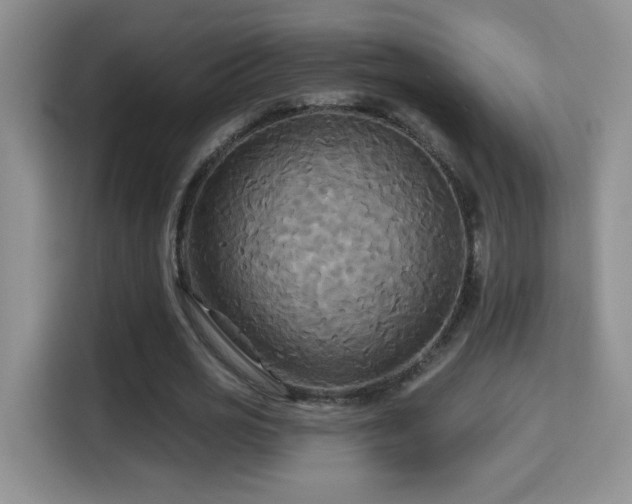 X0000115320725200911091156