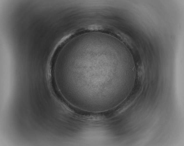 X0000115320727200911091156