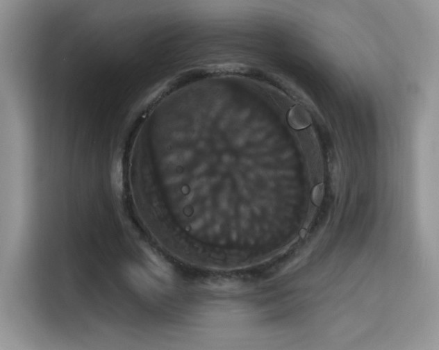 X0000115320729200911091156