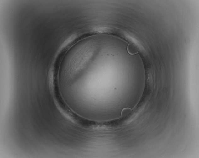 X0000115320730200911091156