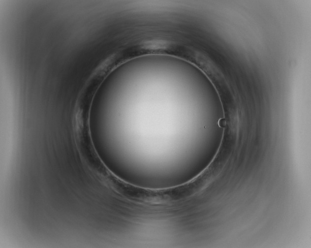 X0000115320731200911091156
