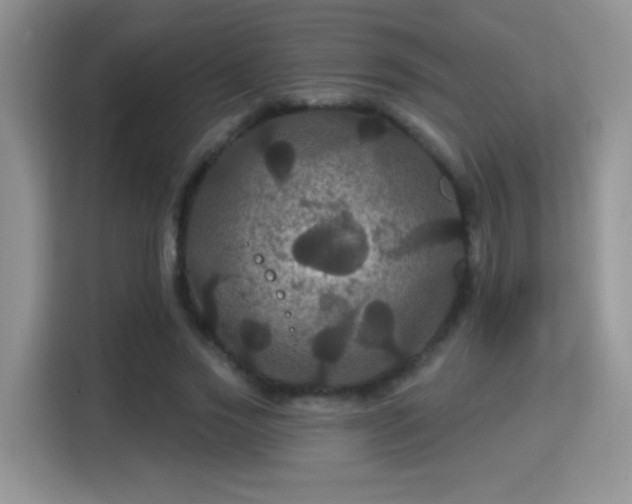 X0000115320733200911091156
