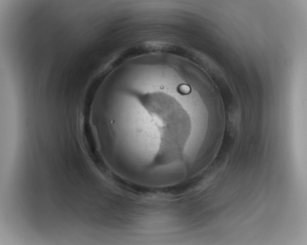 X0000115320734200911091156