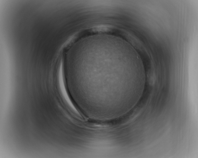 X0000115320735200911091156