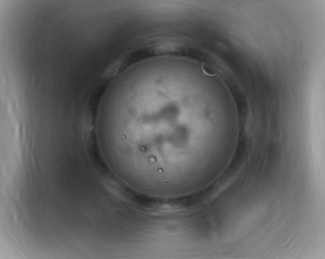 X0000115320737200911091156