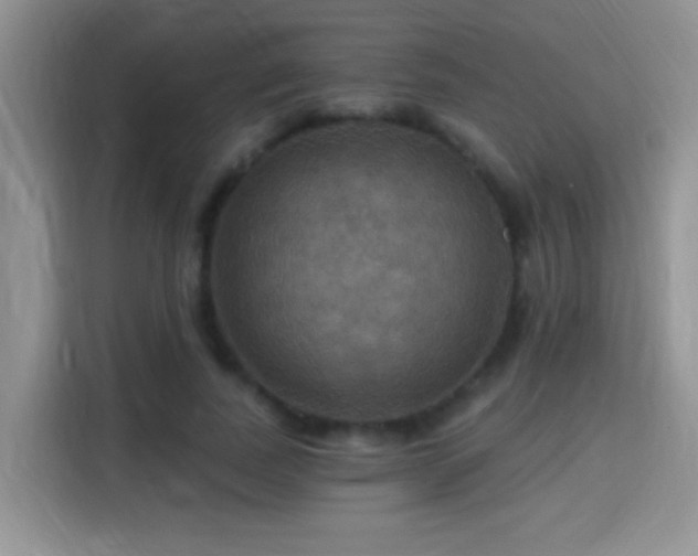 X0000115320739200911091156