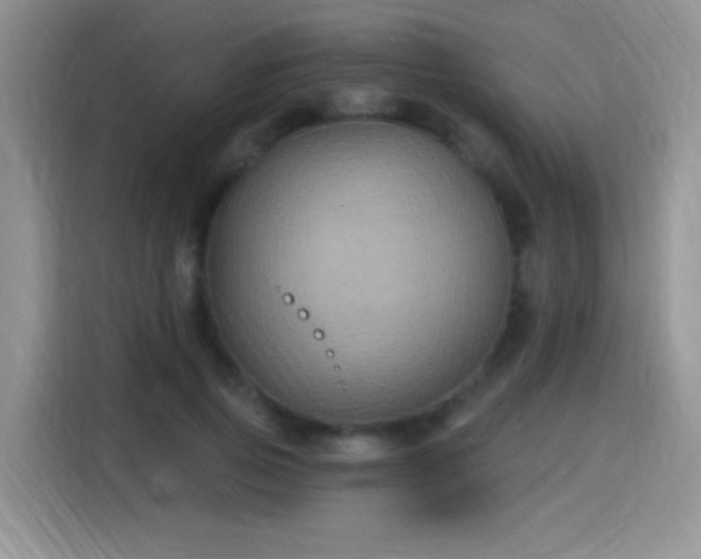 X0000115320741200911091156