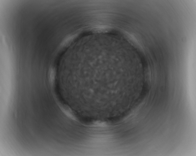 X0000115320742200911091156