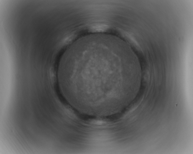 X0000115320743200911091156