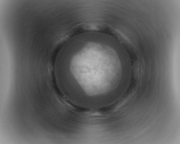 X0000115320747200911091156