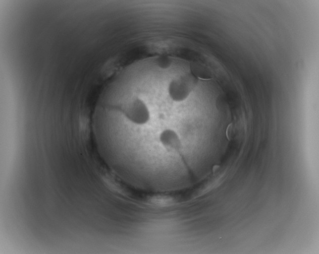 X0000115320749200911091156