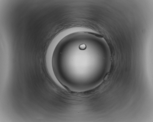 X0000115320750200911091156