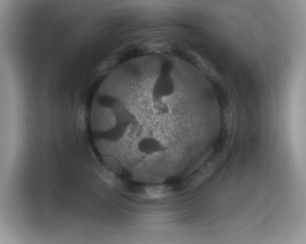 X0000115320757200911091157