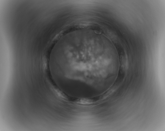 X0000115320758200911091157