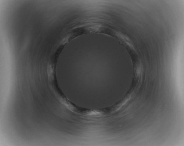 X0000115320759200911091157
