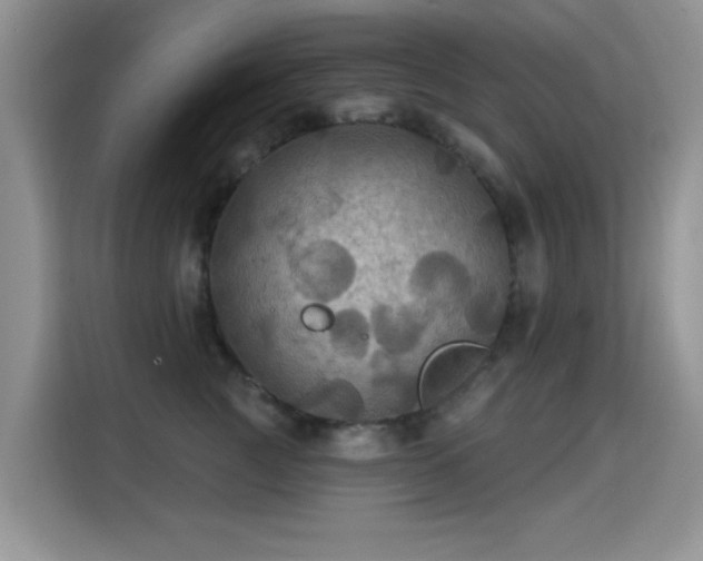 X0000115320761200911091157