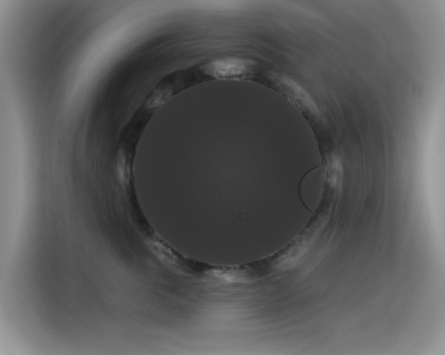 X0000115320763200911091157