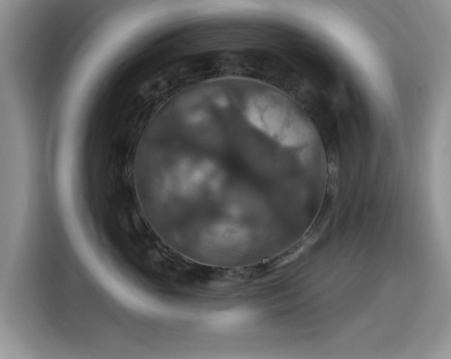X0000115320765200911091157