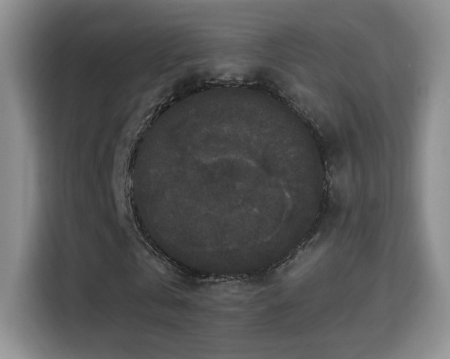 X0000115320769200911091156