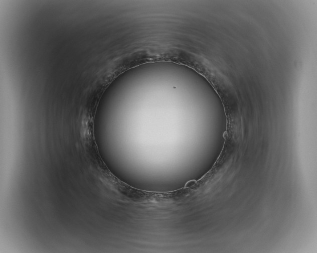 X0000115320770200911091156