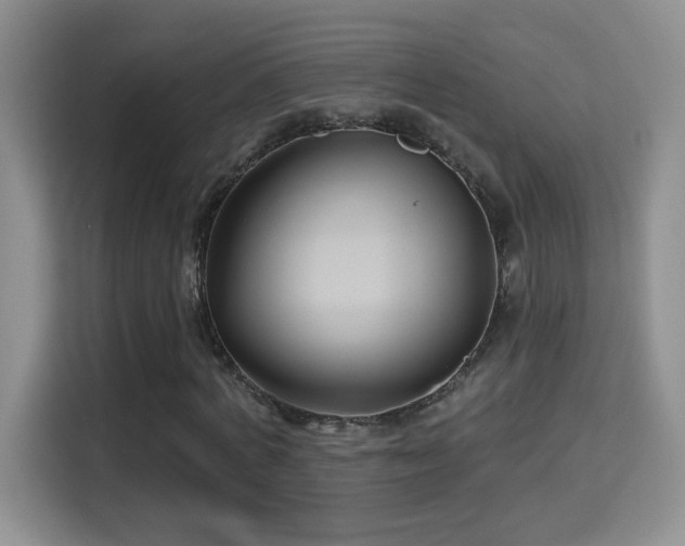 X0000115320772200911091156