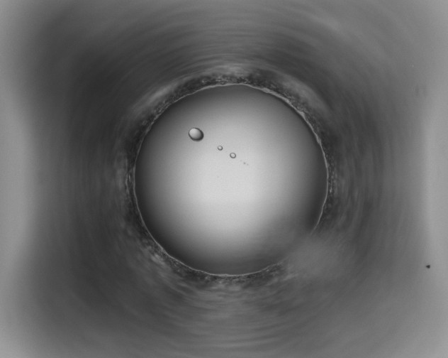 X0000115320773200911091156