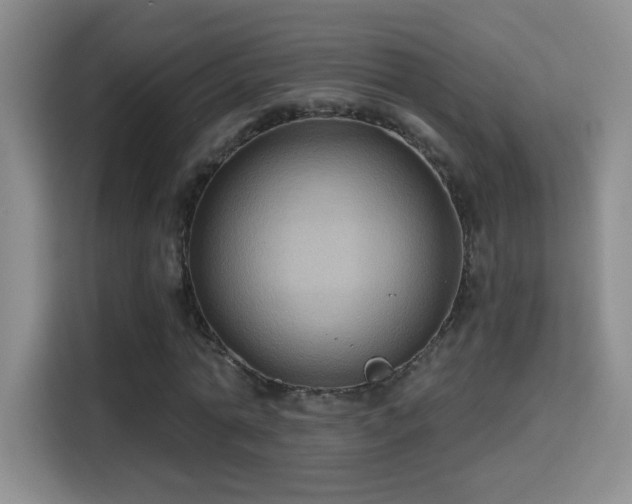 X0000115320774200911091156