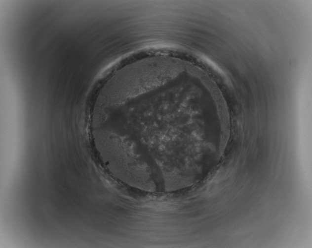 X0000115320775200911091156