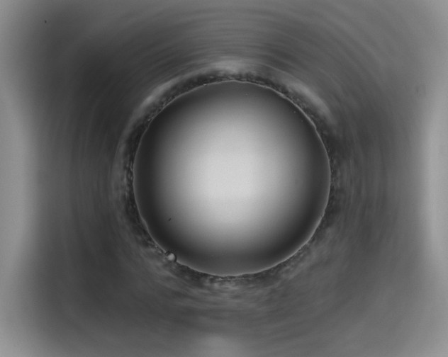 X0000115320776200911091156