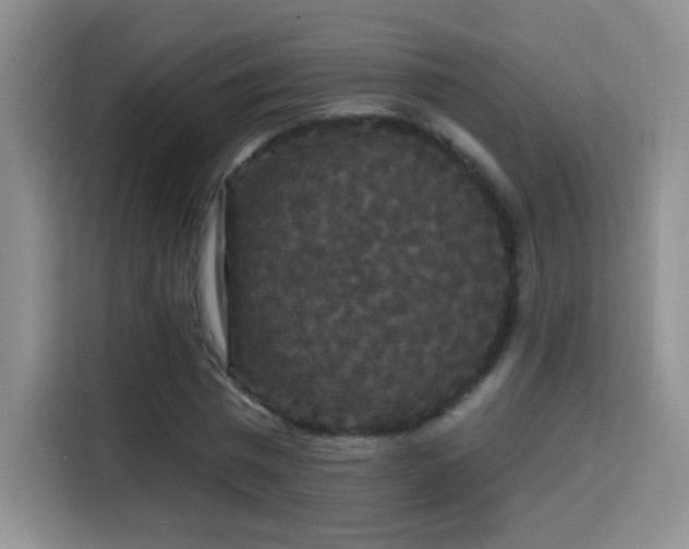 X0000115320777200911091156