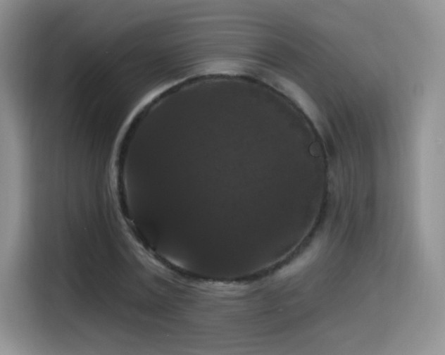 X0000115320779200911091156