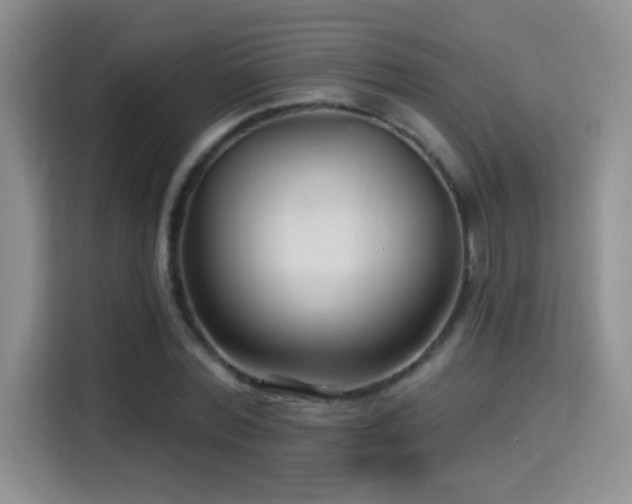 X0000115320780200911091156