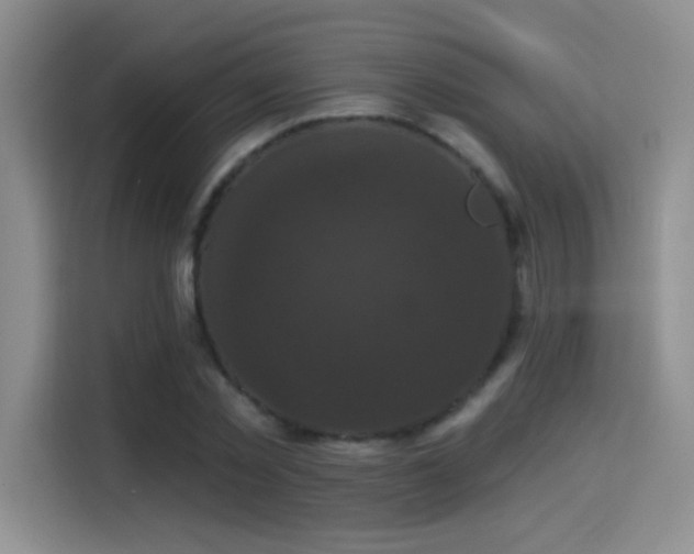 X0000115320781200911091156