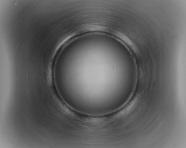 X0000115320782200911091156