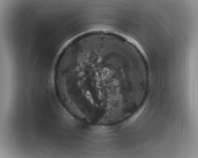 X0000115320783200911091156