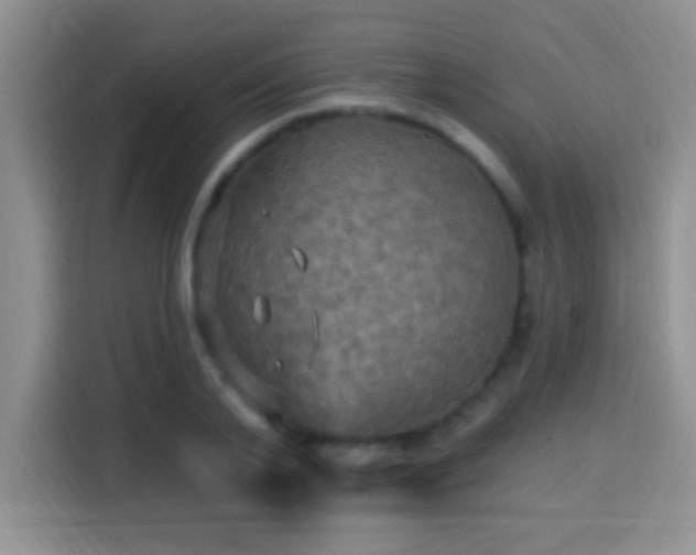 X0000115320791200911091156